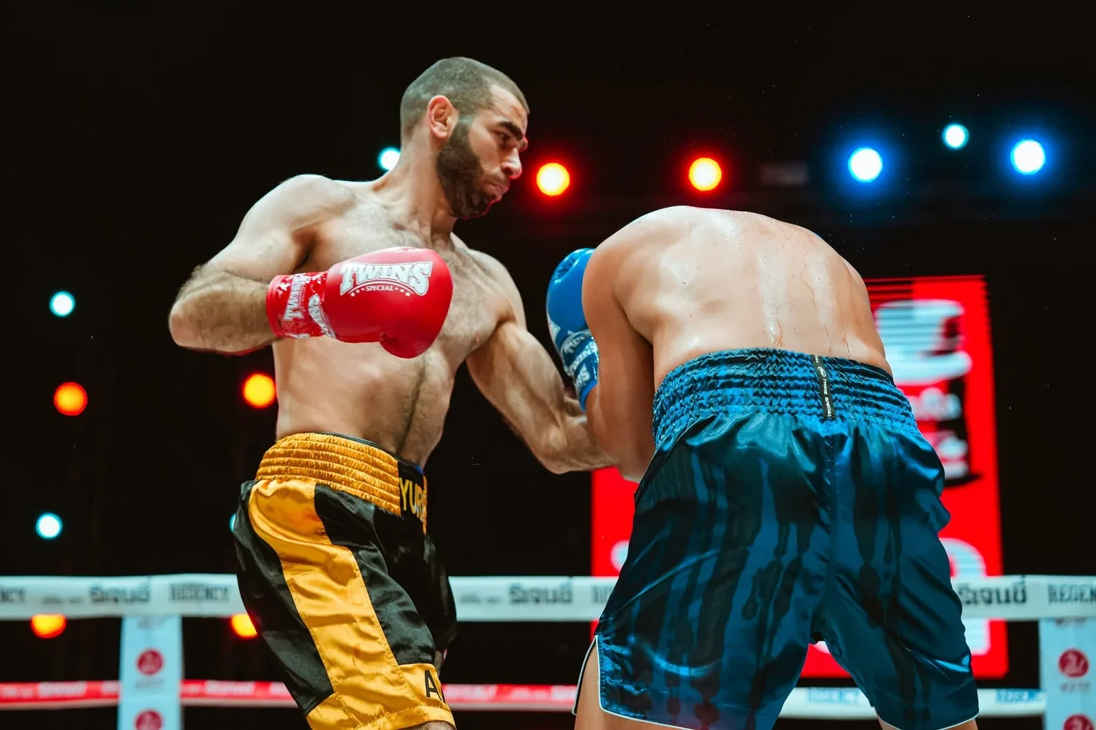 Yuri Sakunts — Professional boxing action
